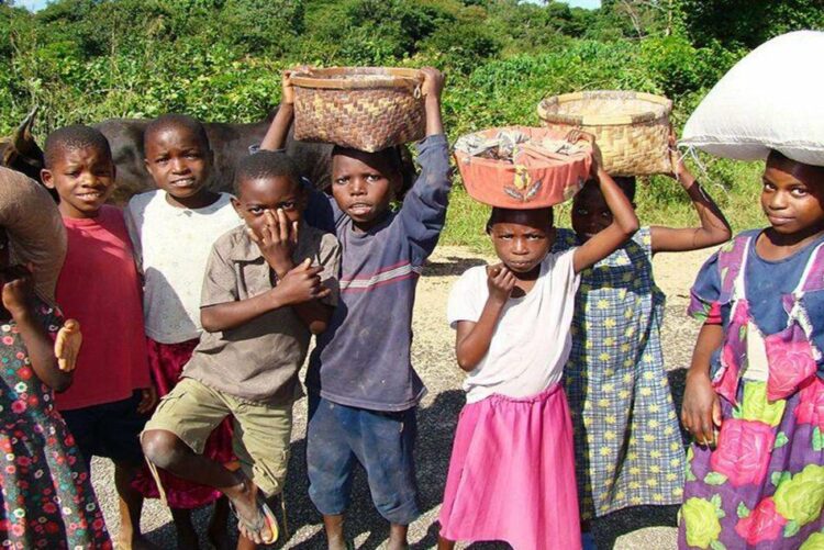 Capacity Building, Advocacy, and Outreach Initiatives